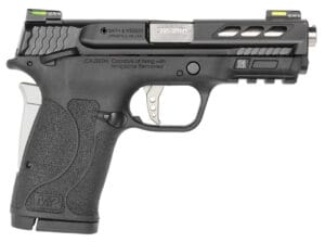 Smith & Wesson M&P Shield EZ 380 ACP Stainless Pistol