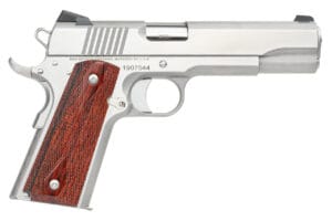 Dan Wesson Razorback 10mm Stainless Steel Semi-Auto Pistol