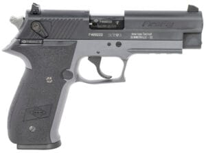 German Sport Guns FireFly 22 LR 10 Round 4 Inch Pistol