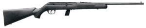 Savage Arms 64F 22 LR 10 Round 21 Inch Matte Blued Rifle