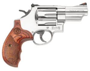 Smith & Wesson 629 44 Magnum Stainless Revolver