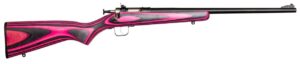 Davey Crickett Youth 22 LR Bolt Action Rifle