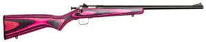 Davey Crickett 22 LR Youth Bolt Action Rifle