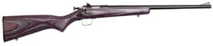 Davey Crickett Youth 22 LR Bolt Action Rifle