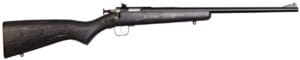Davey Crickett Youth 22 LR Bolt Action Rifle