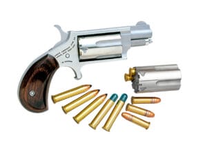 North American Arms Mini Revolver 22 LR Stainless Revolver