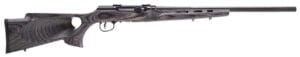 Savage Arms A22 Target 22 LR Semi-Auto Rifle