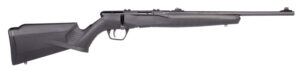 Savage Arms 70214 B22 F Compact 22 LR Caliber with 10+1 Capacity, 18" Barrel, Matte Blued Metal Finish & Matte Black Synthetic Stock Right Hand