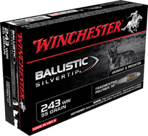 Winchester Ammo SBST243 Ballistic Silvertip  243Win 55gr Fragmenting Polymer Tip 20 Per Box/10 Case