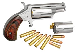 North American Arms 22 LR Mini Revolver Stainless Steel