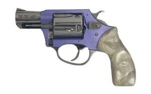 Charter Arms Chic Lady 38 Special 2 Inch 5 Round Stainless Revolver