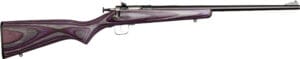 Davey Crickett G2 22 LR Youth Bolt Action Rifle