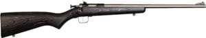 Davey Crickett G2 22 LR Stainless Black Laminate Youth Rifle