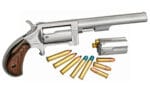 NAA SIDEWINDER 22LR/22WMR 4" 5RD STS