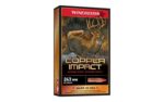 Winchester Deer Season 243 Winchester 85 Grain Poly Tip Rifle Ammunition