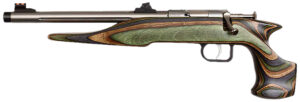 Chipmunk 41105 Hunter Adult 22 Mag 1rd 9" Threaded Stainless Steel Single Shot Barrel, Camo Laminate Stock