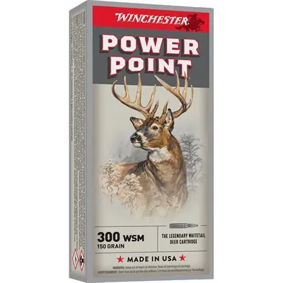 300 WSM 150GR POWER-POINT 20/BOX