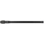8.6 BLACKOUT 16'' 1-3 TWIST MODIFIED LIGHT PALMA REMAGE BBL