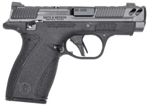 Smith and Wesson Bodyguard 2.0 380 ACP 12 Round Striker Fired Pistol