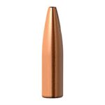 6MM (0.243'') 62GR HOLLOW POINT FLAT BASE 100/BOX