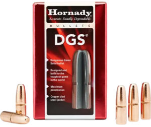 Hornady 9.3mm 300 Grain Dangerous Game Solid Rifle Ammunition