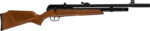 BEEMAN 1331 PCP RADIER .22 CAL - PELLET AIR RIFLE 10 SHOT