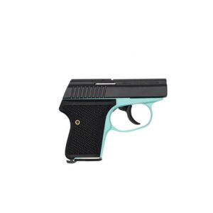 L.W. Seecamp LWS-380 380 ACP 6 Round Robin's Egg Blue Pistol
