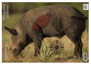 Birchwood Casey Pregame Boar Paper Target 16.50 x 24 Inch Accessory 3 Pack