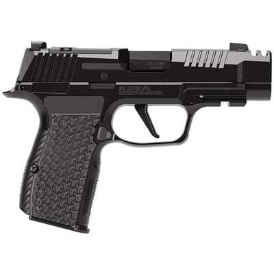 Sig Sauer P365 Luxe 380 ACP 3.1 Inch Black Pistol