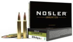 Nosler 40038 E-Tip 300WinMag 180gr E Tip Lead Free 20 Per Box/10 Case
