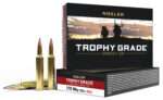 Nosler 60150 Trophy Grade Long-Range 270WthbyMag 150gr Nosler Spitzer AccuBond Long Range 20 Per Box/10 Case