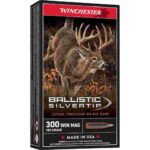 Winchester Ballistic Silvertip Rifle Ammunition .300 Win Mag 180 gr. PT 2950 fps 20/ct