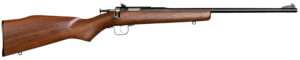 Chipmunk Youth 22 LR Bolt Action Rifle