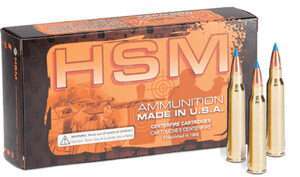 HSM 204 Ruger 32 Grain BlitzKing Rifle Ammunition