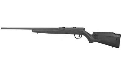 Savage B17 17 HMR 21 Inch 10 Round Bolt Action Rifle