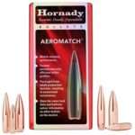 AEROMATCH 6MM/243 (0.243) 105GR HOLLOW POINT BT 100/BOX