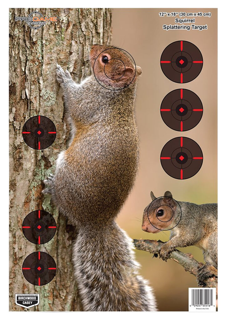 Birchwood Casey Pregame Squirrel Paper Hanging Rifle Target 12 x 18 Inch 8 Pack