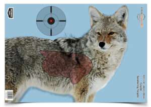 Birchwood Casey Pregame Coyote Hanging Rifle Target 3 Pack