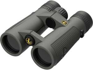 Leupold BX-5 Santiam HD 8x42mm Binocular Scope