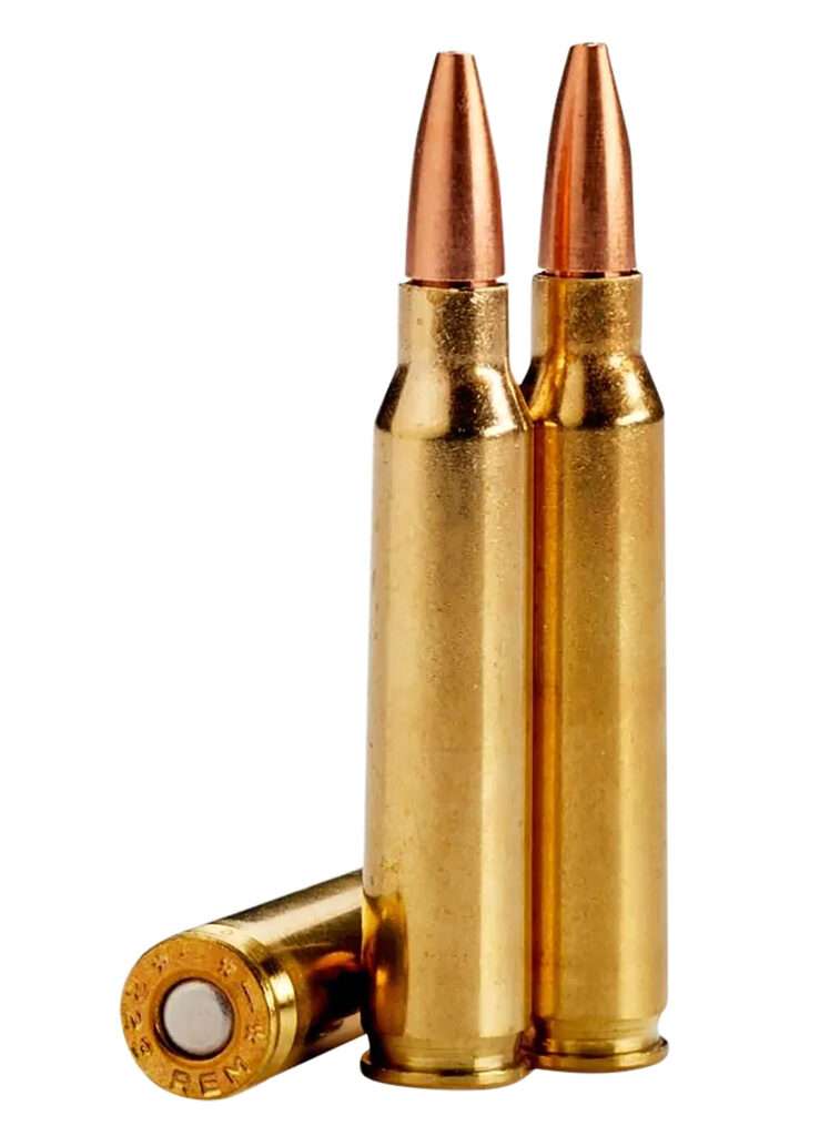 Lehigh Defense Controlled Chaos 223 Remington 55 Grain Ammunition
