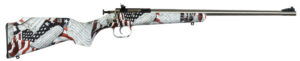 Davey Crickett Youth 22 LR Bolt Action Rifle