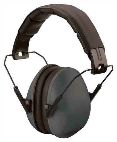 Champion Slim Passive Ear Muffs 21 dB Black