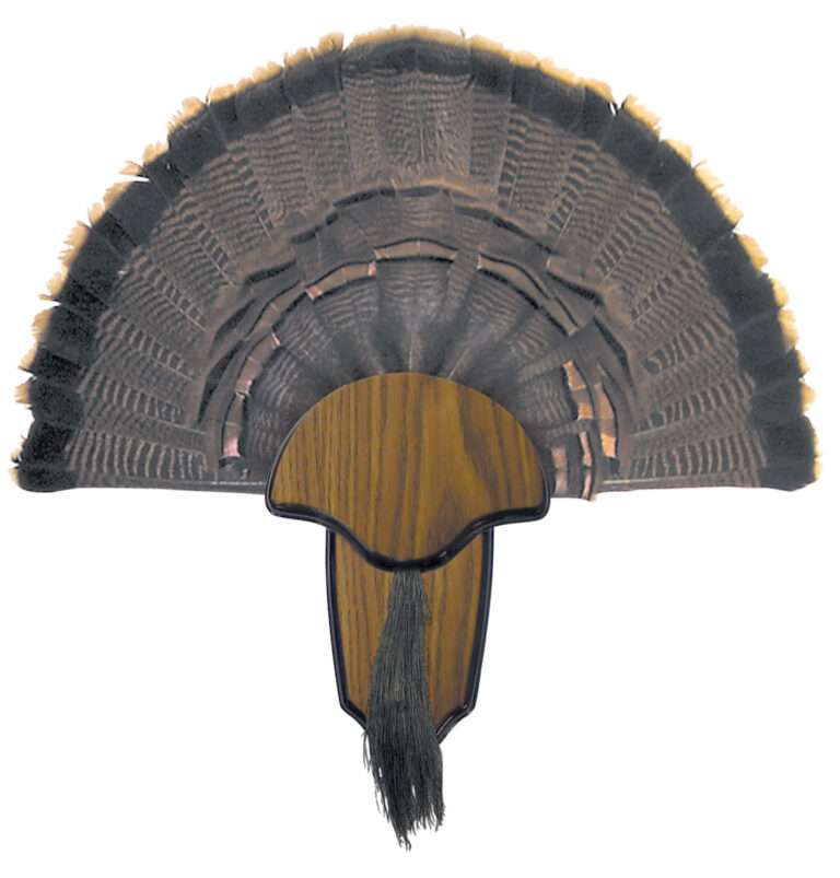HS Strut Wild Turkey Tail and Beard Mounting Kit Accessory
