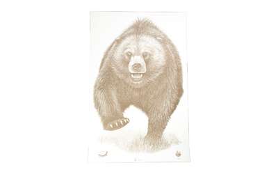 Action Target Alaska State Parks Bear Target 100 Pack