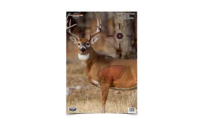 Birchwood Casey Pregame 24 Inch Deer Target Critter Accessory