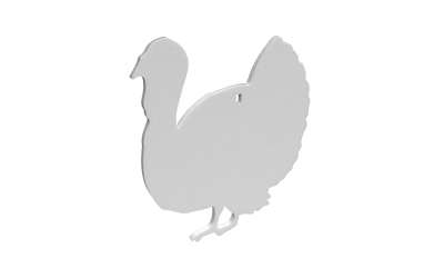 Birchwood Casey AR500 3/8 Inch Silhouette Turkey White Target