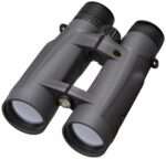 LEUPOLD BINOCULAR BX5 SANTIAM 15X56 SG
