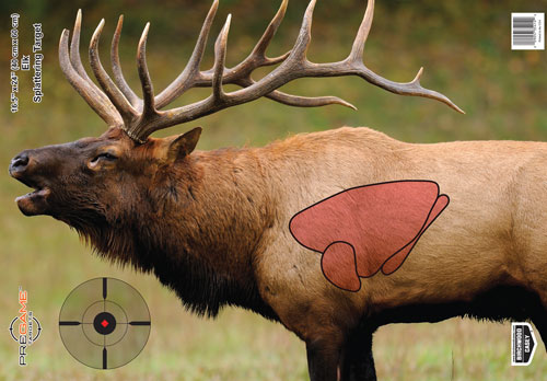 Birchwood Casey Target Pregame 16.5 x 24 Inch Elk Target 3 Pack