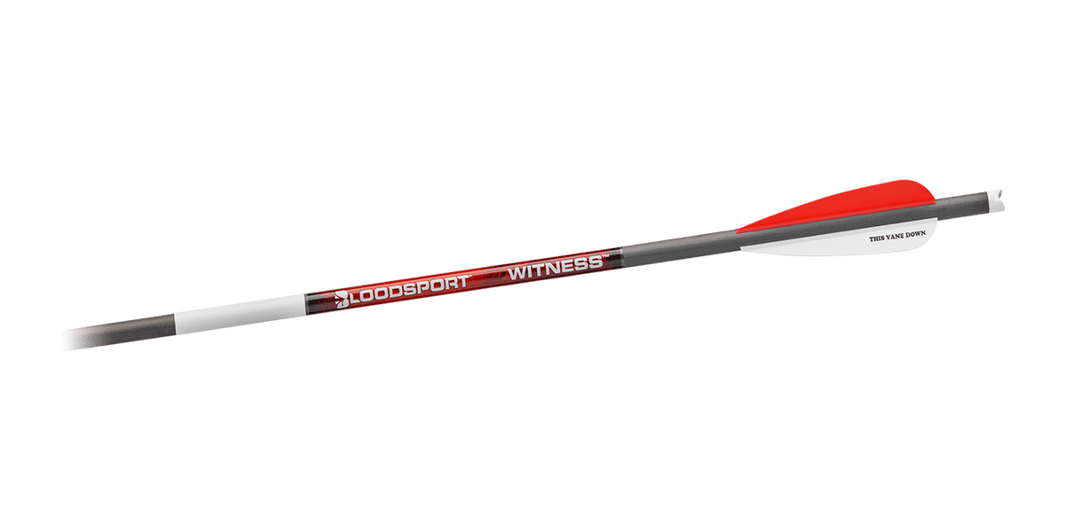 Bloodsport Witness Crossbow Bolt 20" 300 Spine 6/pk 1 Bloodsport Witness Crossbow Bolt 20" 300 Spine 6/pk