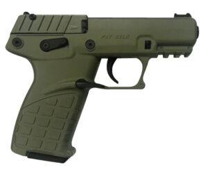Kel-Tec P17BGRN P17 Compact Frame 22 LR 16+1 3.80" Black Steel Threaded Barrel, OD Green Serrated Slide, OD Green w/Black Controls Polymer Frame w/Picatinny Rail, OD Green Textured Grip, Ambidextrous